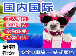 南阳姜营机场快运国际宠物托运 【国